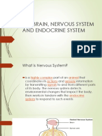 The BRAIN, NERVOUS SYSTEM AND ENDOCRINE SYSTEM (39
