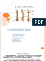 componentes