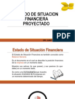 Estado de Situcion Financiero