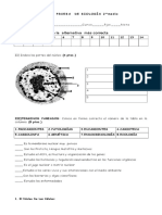 53947_p(1)NUCLEO-07 (1).doc