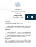 2019 Tep 2c Gonzalo Perez Pejcic PDF