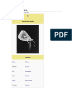 Giardia Lamblia