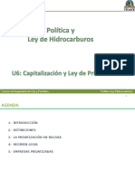 U6 - Capitalización y Ley de Privatización1330