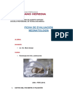 Ficha Neonatología e Informe