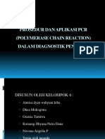 Pcr Polymerase Chain Reaction