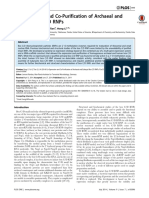 Co-Expression and Co-Purification of Archaeal and Eukaryal Box C/D Rnps