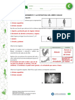articles-25409_recurso_pauta_pdf.pdf