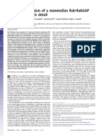 Rab-RabGAP FTIR X-Ray Study