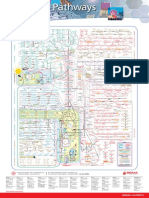 Metabolic Pathways Poster - Mapa Metabólico Completo
