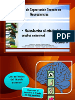 conocimiento del cerebro emocional.pdf