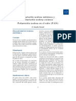 12-PAN.pdf