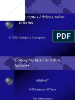 Conceptosbasicos Internet