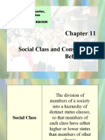 Social Class and Consumer Behavior 1224353409137212 8