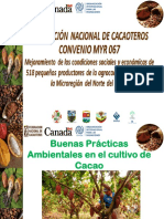 B.P. Ambientales PDF