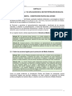 Capitulo II-PC-ambiental.pdf