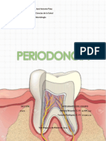 Informe Periodoncia