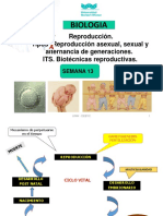 Semana 13 Reproduccion Ok