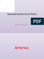 Vascularización de La Pelvis