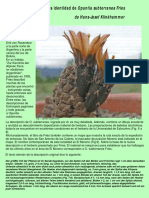 La Verdadera Identidad de O. Subterranea Fries en Salteño-Cordobes PDF
