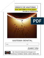 A Post i La Sistema Genital 2016