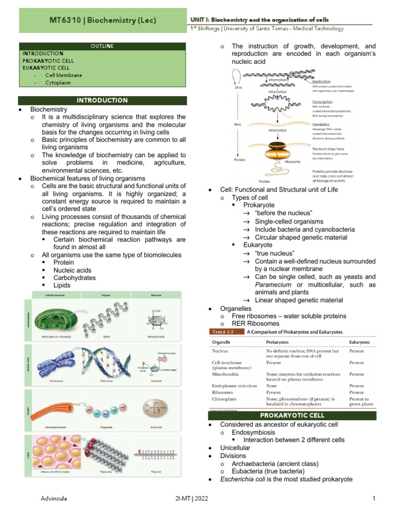 BIOCHEM 1 Cell Biomolecules PDF | PDF | Cell (Biology) | Endoplasmic ...