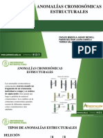 Anomalias Cromosomicas Estructurales