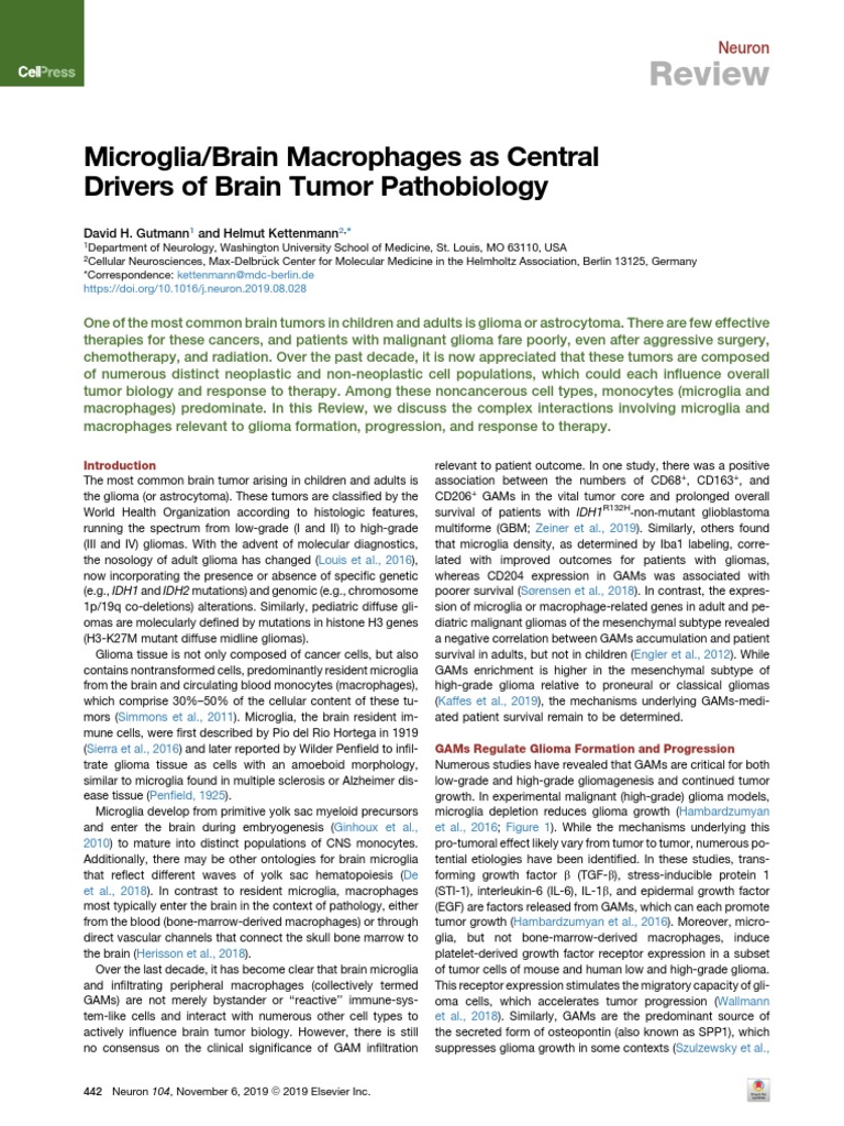Microglia Review | Download Free PDF | Glioma | Brain Tumor