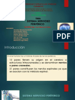 Sistema-nervioso-periférico _ Grupo 3.pptx
