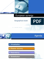 European Synergy Geogr Cluster