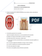 Guia de Estudio Fisiologia Bucal