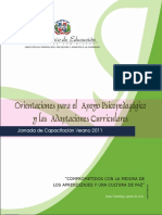 Orientaciones Apoyo Psicopedagogico Adpataciones Curriculares