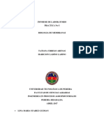 IDENTIFICACIÓN BÁSICA DE BIOMOLÉCULAS. INTRODUCCIÓN AL ANÁLISIS CUALITATIVO DE CONTROL DE CALIDAD..docx