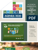 Agenda Ambiental 2030