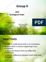 Group II: - Ecosystem - Ecological Chain