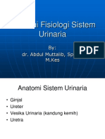 Anatomi Fisiologi Sistem Urinaria: By: Dr. Abdul Muttalib, SP - An, M.Kes