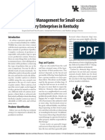 Predator Management For Small-Scale Poultry Enterprises in Kentucky