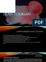 Ikan Louhan