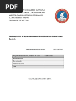 Siembra y Cultivo de Aguacate Hass en El Municipio de San Vicente Pacaya, Escuintla