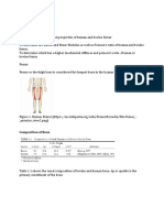 Composition of Bone