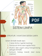 SISTEM LIMFA Dan Nervus Superior - 2