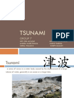 Tsunami No Video