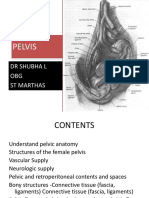 Female Pelvis-Clinical Anatomy