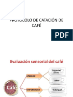 Protocolo de Catación de Café