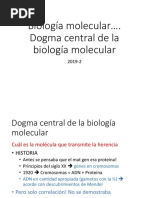 Clases Biología Molecular Dogma Central de La BM