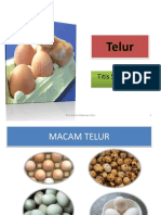 Telur Ibm1 Titis 201015