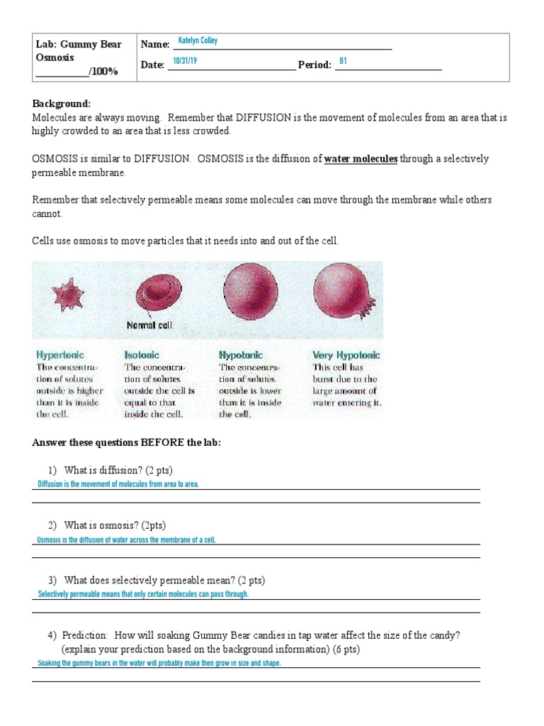 Gummy Bear Osmosis Lab PDF PDF Osmosis Chemistry