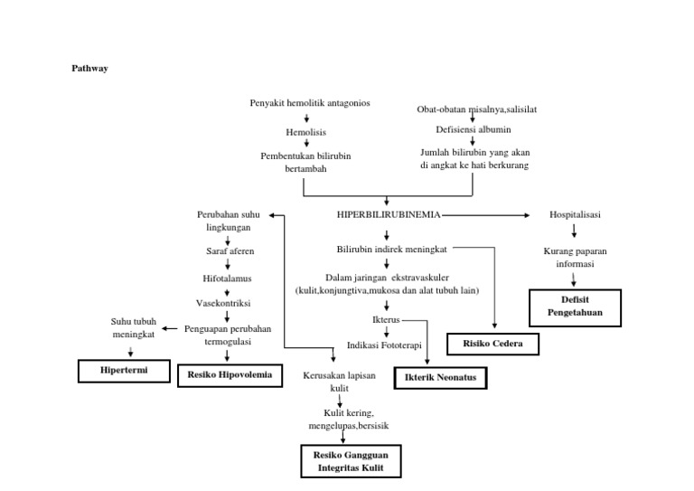 Pathway Hiperbilirubinemia Neonatus | PDF