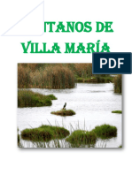 Pantanos de Villa María Chimbote