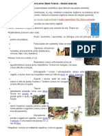 7-partesvegetais-140426145709-phpapp02(1).pdf