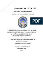TESIS_Evasion Tributaria en Las MYPEs de Lima Metropolitana, Como Consecuencia de La Politica Sancionatoria de SUNAT(1) (1)